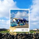 CU남지유채점 | [제주] 우도 배시간 요금표 가볼만한곳 전기차 성산항여객터미널에서 지갑잃어버린썰 짐보관