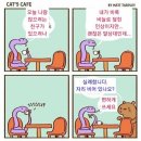 좀자리