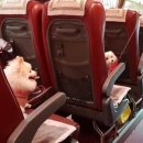 해돋이농장 이미지