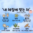 체질별 차 종류 이미지
