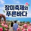 지에스25 삼척해변점 | 2026 삼척장미축제 주차·동선·준비물 정리, 삼척 해변까지 묶는 1박2일 코스