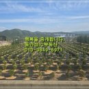 동안성IC공인중개사사무소 이미지