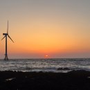 판판포포 이미지