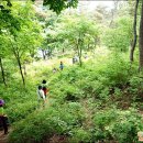 제2회 7월 휴일여행도보 공지 - 7월 1일(일) 백제 역사와 문화, 생태길 부여 사비길을 걸으러 갑니다. 이미지