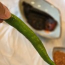 삼삼칠 | 전북 김제 맛집 내돈내산 JMT 유씨네 본가 누룽지 삼계탕