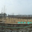 원천택지공원 티스토리