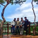 내리계곡로 이미지