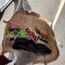 속사랑내과의원 이미지