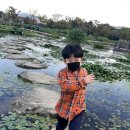 규진 카카오 검색결과