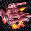 톱머리 리조트 이미지
