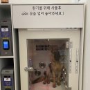 올리스24셀프목욕 이미지