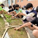 가람초등학교 이미지