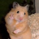 두끼 | 아아 떡볶이가 땡긴다 송탄 두끼 떡볶이 후기 !