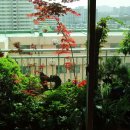 작은정원 이미지