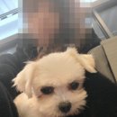 메디유미 이미지