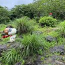 예공인중개사사무소 이미지