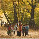 백양주유소 이미지