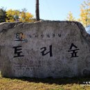 토리숲 주차장 이미지