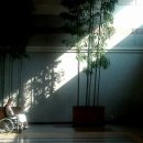 햇살병원 이미지