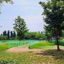 종합사회복지관 상락원 파크골프장 이미지