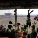 노랑등대 앞 이미지