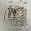 지에이치(GH)자연건강 | 웅쌤! 드디어 뭐라도 올립니다!