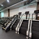 가곡동유심천 이미지