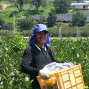 달천농장 이미지