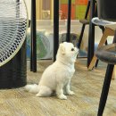 게임프랜드 | 경주 황리단길, 금리단길 근처 경주 초가성비 숙소 “경주 게스트하우스 프랜드” 솔직후기