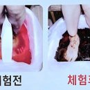 라파힐링 이미지