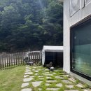 멍편한세상 | 안동 애견 동반 독채펜션 [ 멍편한 세상 ] 솔찍후기