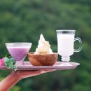 백수목장 이미지