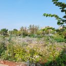 덕이 농장 이미지