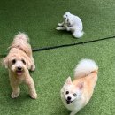 헬로우버디 광교점 이미지