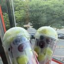 한성청과 이미지