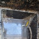 교리초등학교 이미지