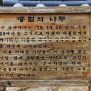 청운각 - 광주시 문화로 34 | 청운각
