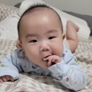 유소아청소년과의원 이미지