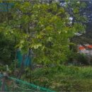 구평동-17 이미지