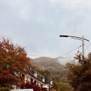 내장산명인관 | 정읍 내장산 국립공원, 한식 비빔밥 명인 셰프가 운영하는 ‘명인관’