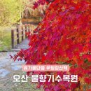 오산시 햇살마루도서관 | 경기도 오산 물향기수목원 주차 주차장 입장료 강아지 애견동반