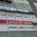 국제두피탈모