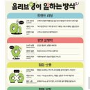올큐레이터 | 올리브영 큐레이터 합격 후기