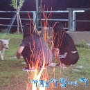 소금강행복펜션 이미지