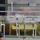 주식회사 바이오션 이미지