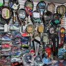 영스포츠 이미지