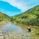 캠프더 포레 이미지