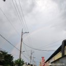 감골뚝배기감자탕 | 온천 워터파크 파라다이스 스파 도고 &amp; 도고 근처 맛집 강골 뚝배기 감자탕