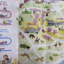 보물섬 주변 도로 만리향길 조성사업 | 체류형 웰니스 관광도시, 서귀포로 가는 길 ‘하영올레’