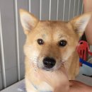 선부119안전센터 이미지